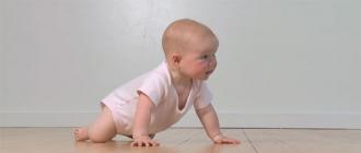 아기는 언제, 몇 개월부터 기어 다니고 앉기 시작합니까?